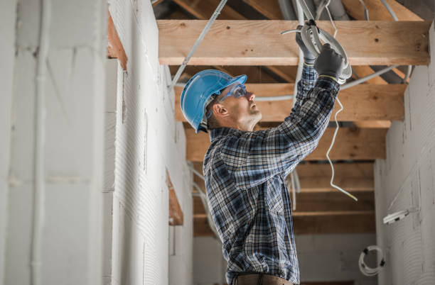 Best Residential Electrician Services  in Mayville, MI
