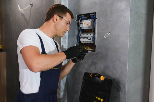 Best Electric Panel Repair  in Mayville, MI