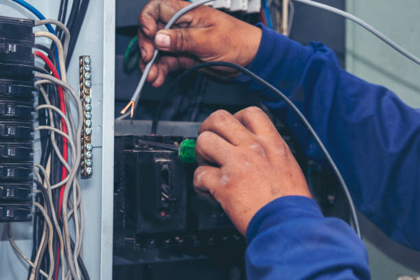 Best Electrician Near Me  in Mayville, MI