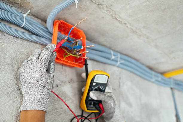 Best Licensed Electrician  in Mayville, MI